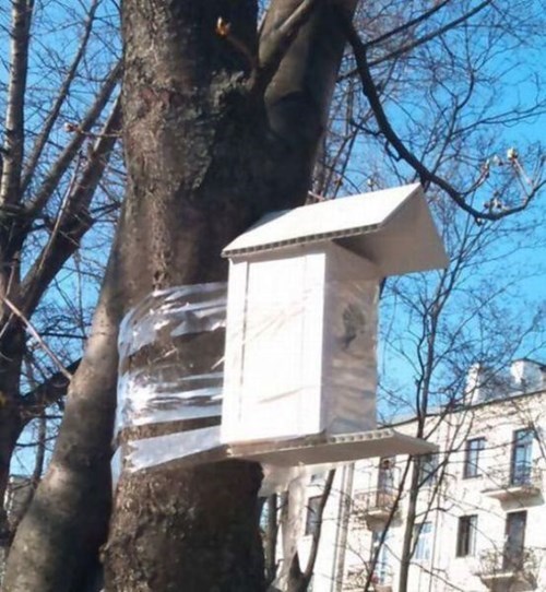 Забавные картинки