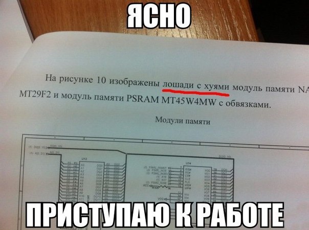Забавные картинки