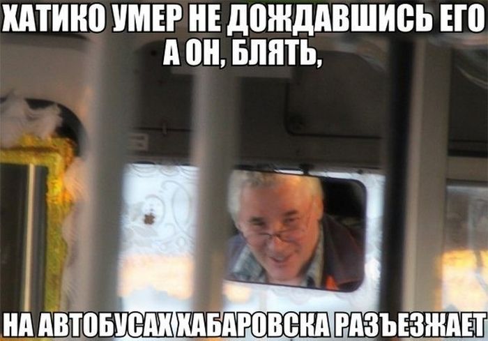 Забавные картинки