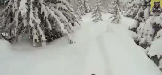 Мега спуск на лыжах по лесу