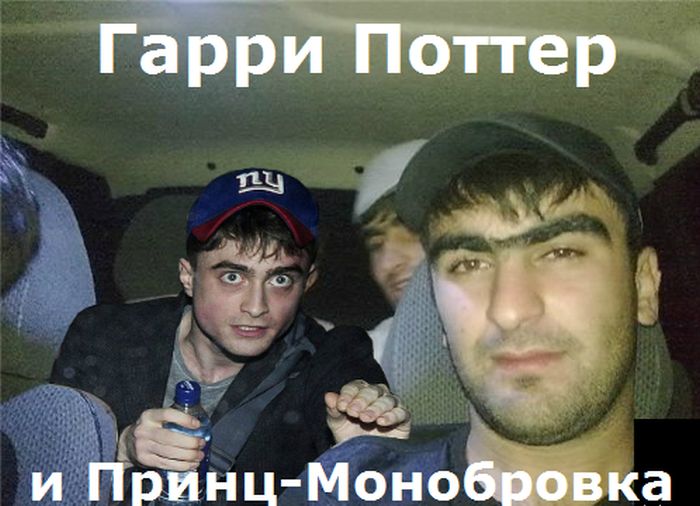 Забавные картинки