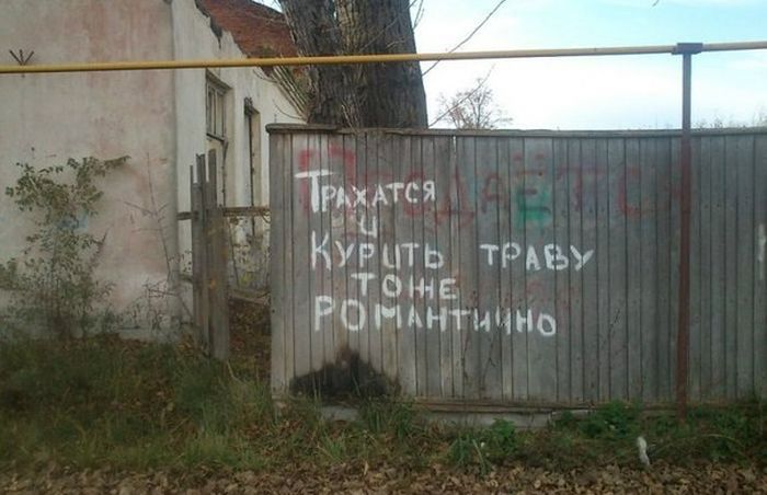 Забавные картинки