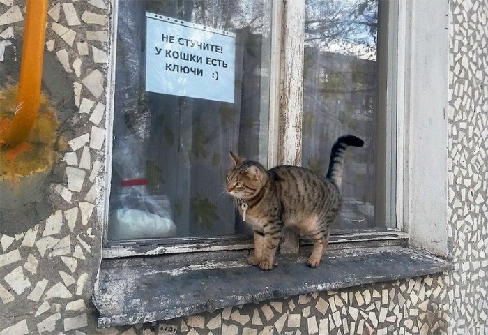 Забавные картинки