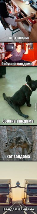 Забавные картинки