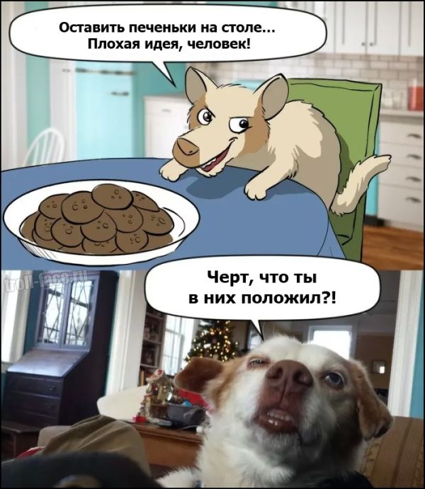 Забавные картинки