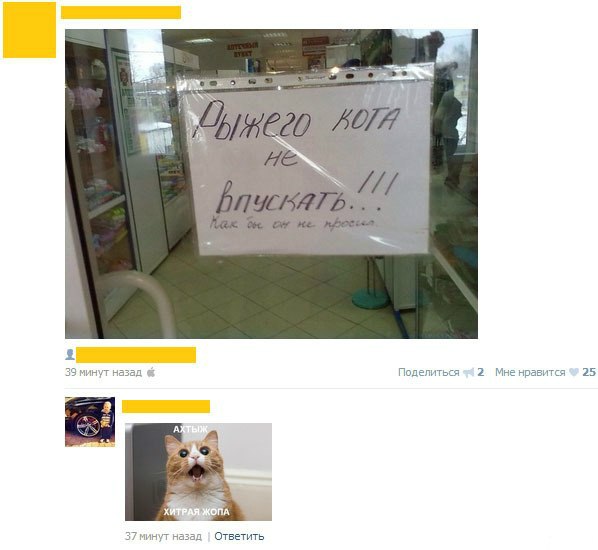 Забавные картинки