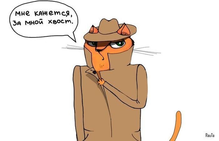 Забавные картинки