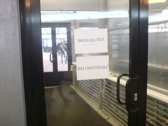 Забавные картинки