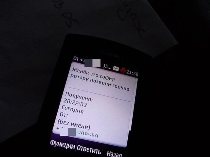 Забавные картинки