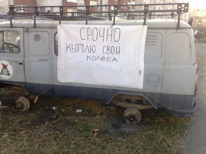 Забавные картинки