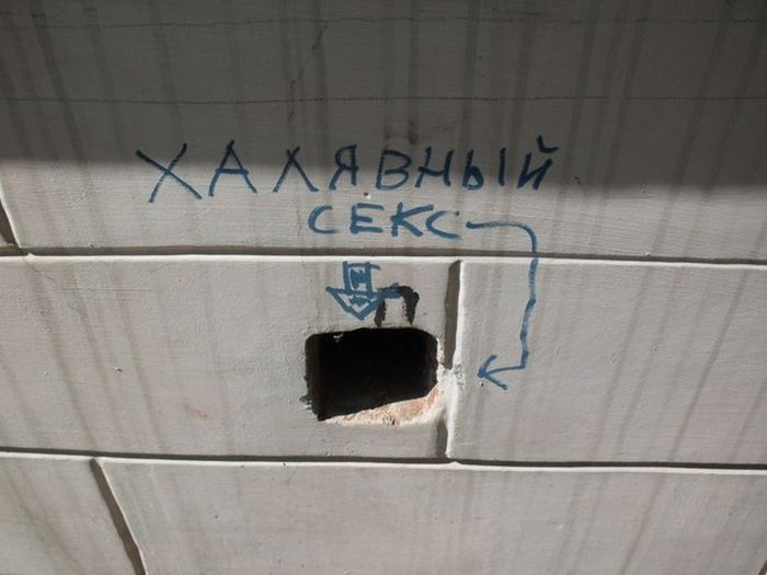 Забавные картинки