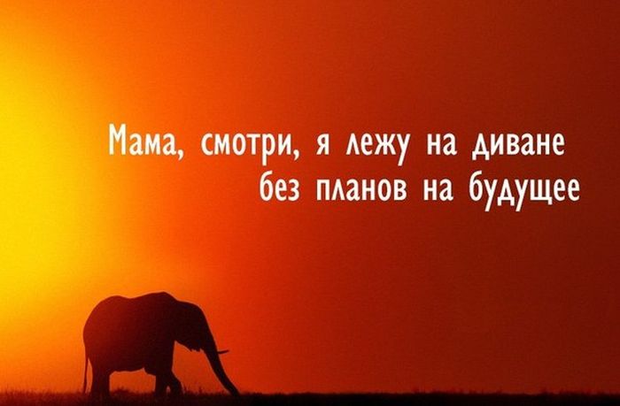 Забавные картинки