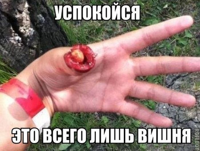 Забавные картинки