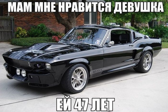 Забавные картинки