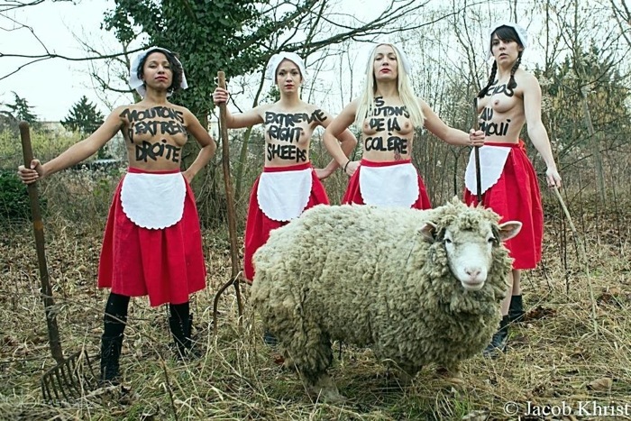 FEMEN уже не торт...