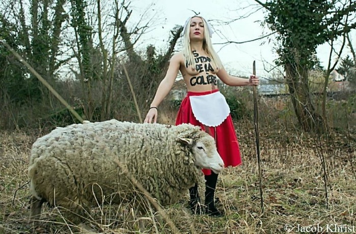 FEMEN уже не торт...