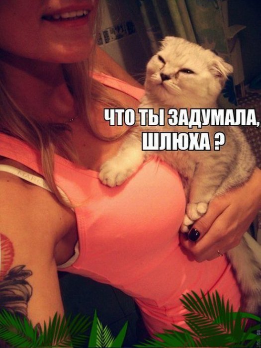 Забавные картинки