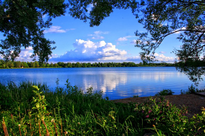 Обои на рабочий стол /Computer Desktop Wallpapers Collection 848