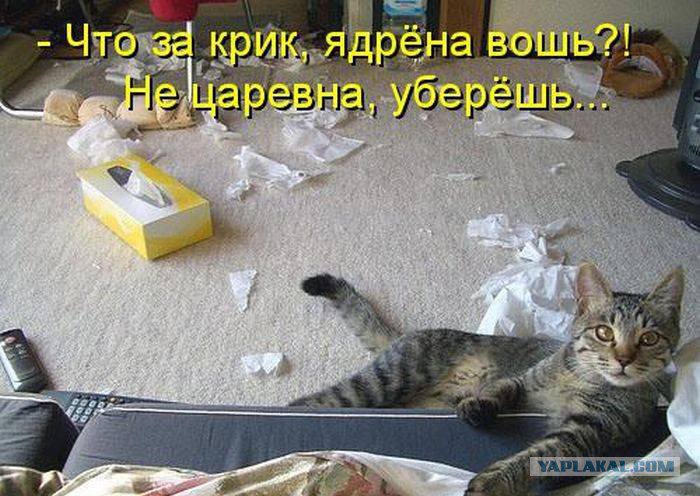 Жиденькая подборка вяло-прикольных картинок №5