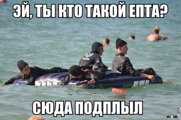 Забавные картинки
