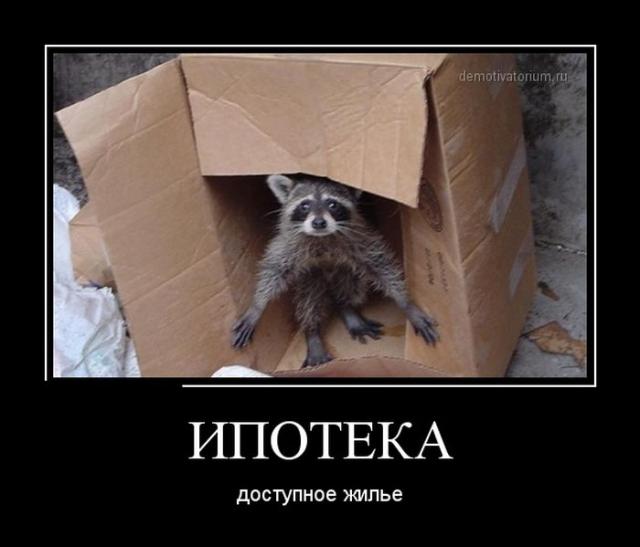Демотиваторы (30 фото)