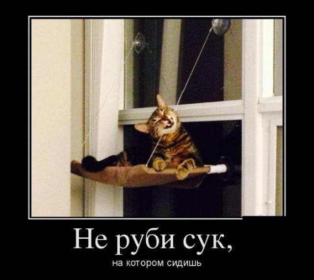 Демотиваторы (30 фото)