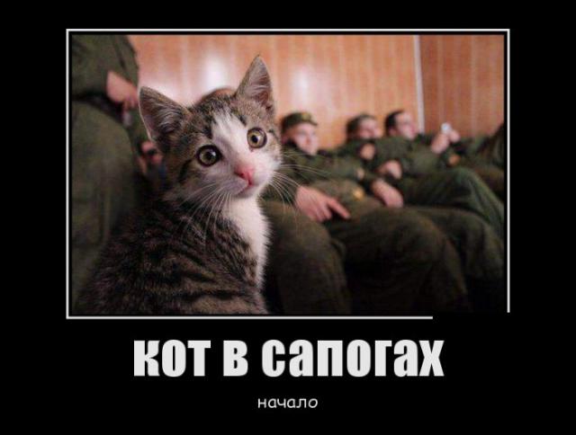 Демотиваторы (30 фото)