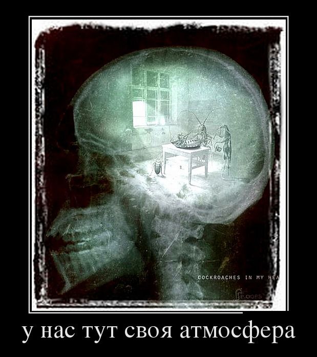 Демотиваторы (30 фото)