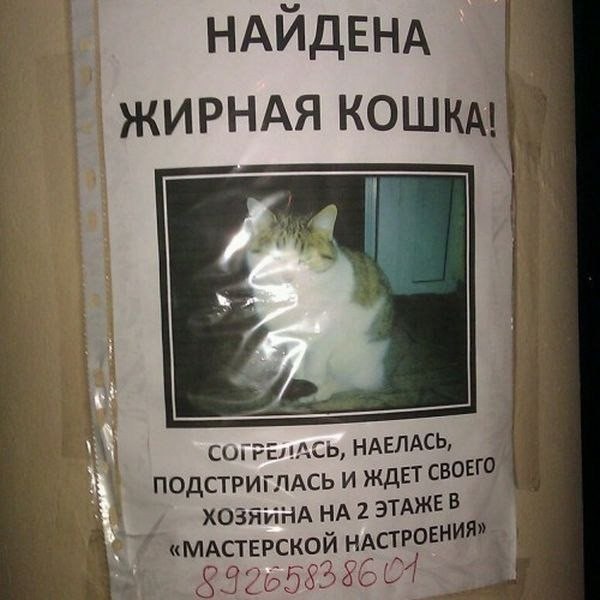 Забавные картинки