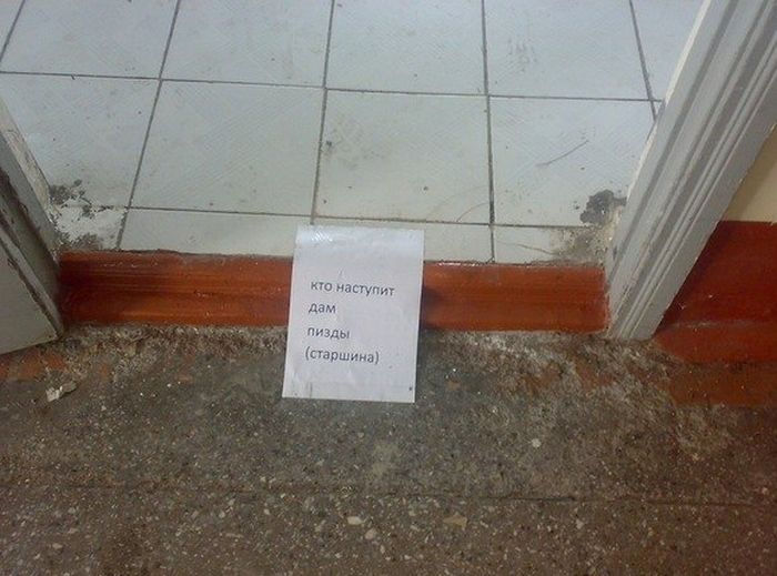 Забавные картинки