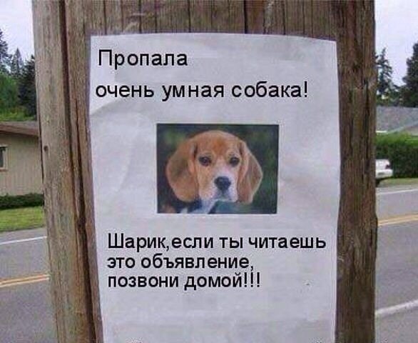 Забавные картинки