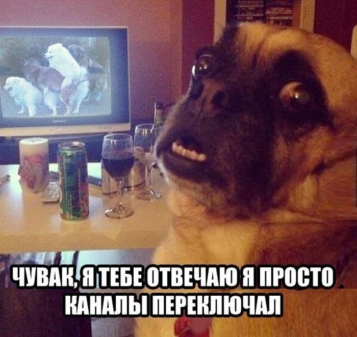 Забавные картинки