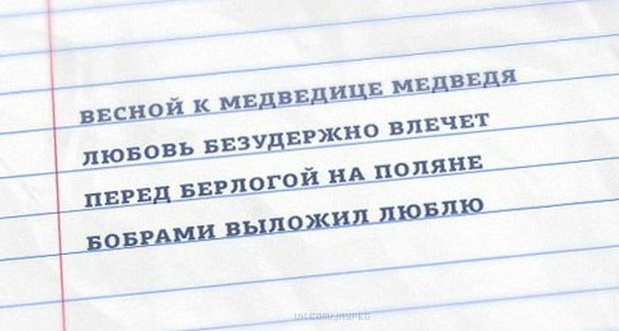Забавные картинки