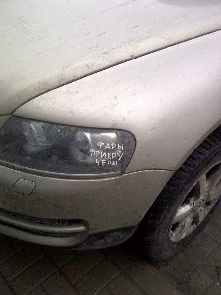 Забавные картинки