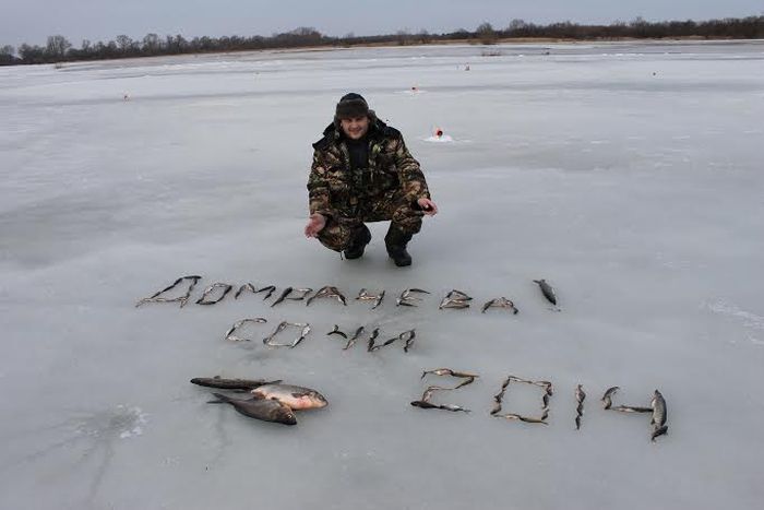 Забавные картинки