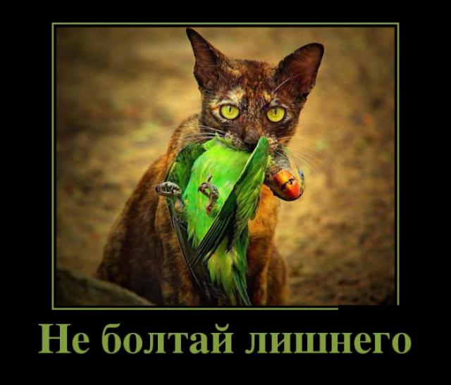 Демотиваторы (30 фото)