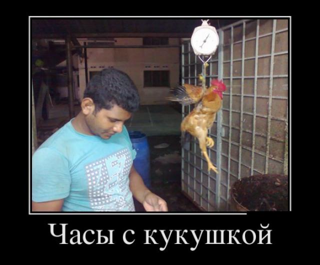 Демотиваторы (30 фото)