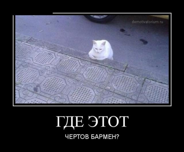 Демотиваторы (30 фото)