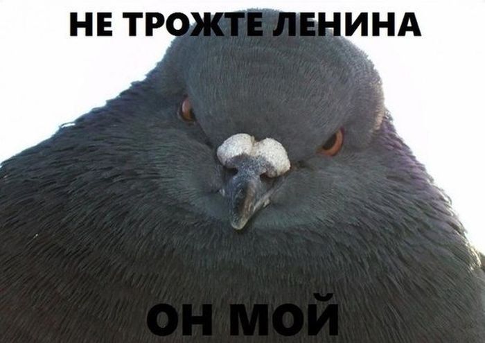 Забавные картинки