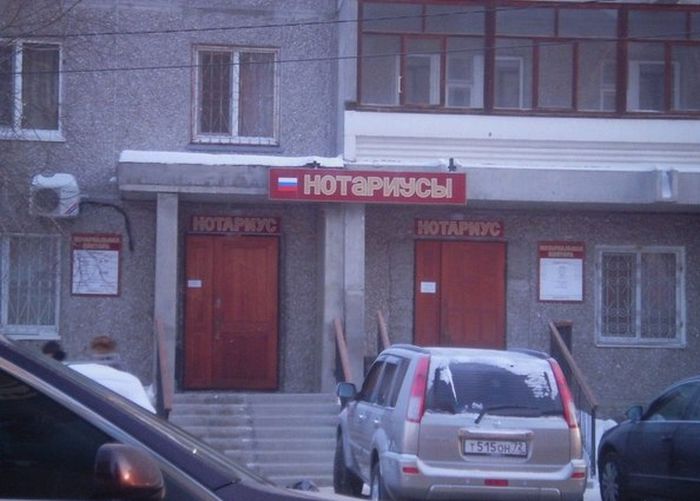 Забавные картинки