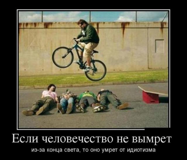 Демотиваторы (30 фото)