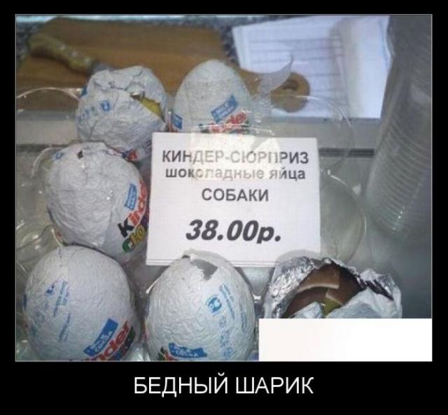 Демотиваторы (30 фото)