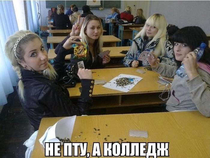 Забавные картинки