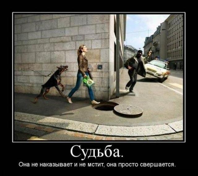 Демотиваторы (30 фото)