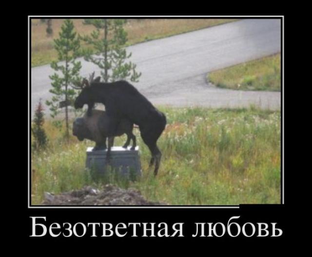 Демотиваторы (30 фото)