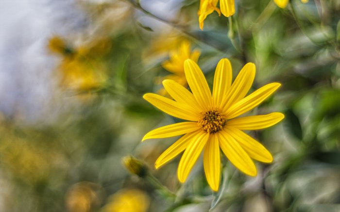 Обои на рабочий стол /Computer Desktop Wallpapers Collection 856
