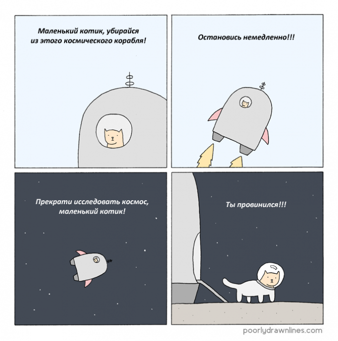 Забавные картинки