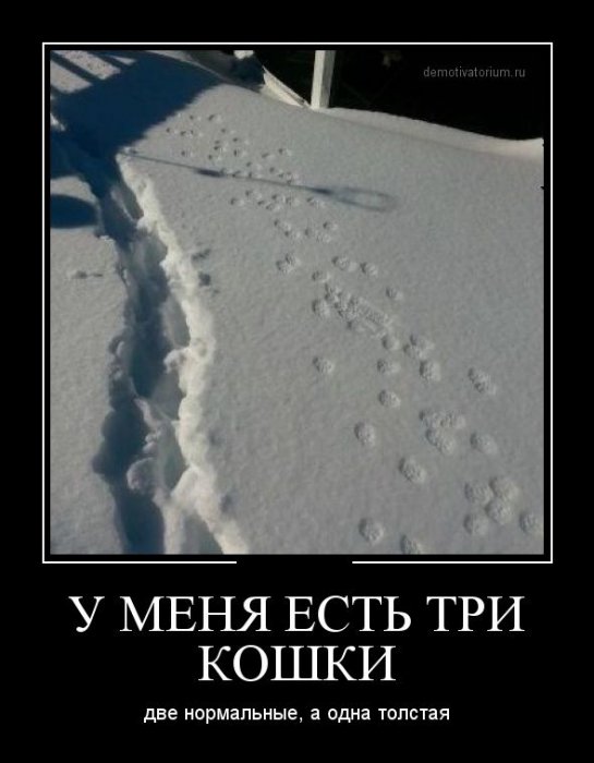 Демотиваторы (30 фото)
