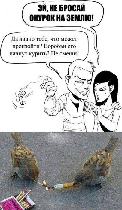 Забавные картинки
