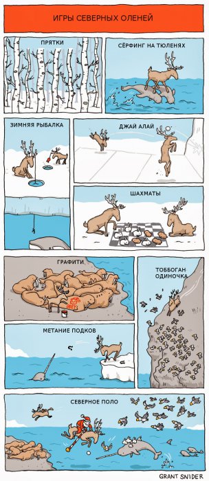 Забавные картинки